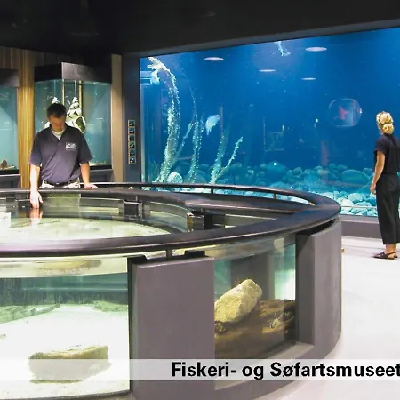 Xi * Fanø